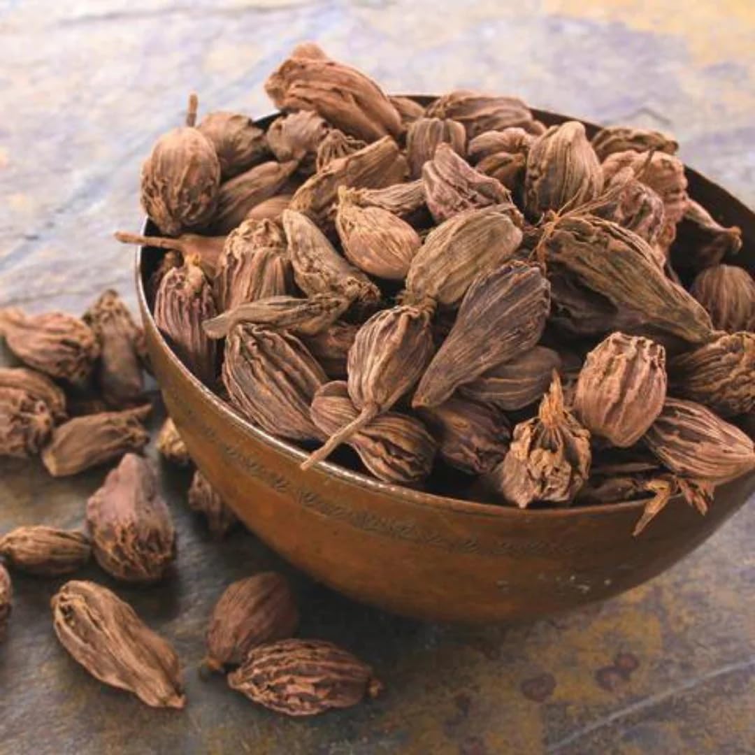 Black Cardamom Pods Kali Elachi Whole Indian Spice Moti Elachi 200 gram Black Indian Herbs and Spices (7 oz) Badi Elachi