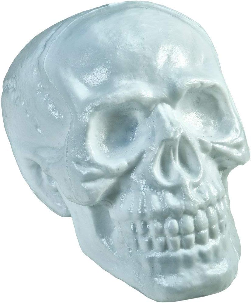 EuropalmsHalloween Skull, 31 x 22 x 22 cm, Multi-Colour, One Size