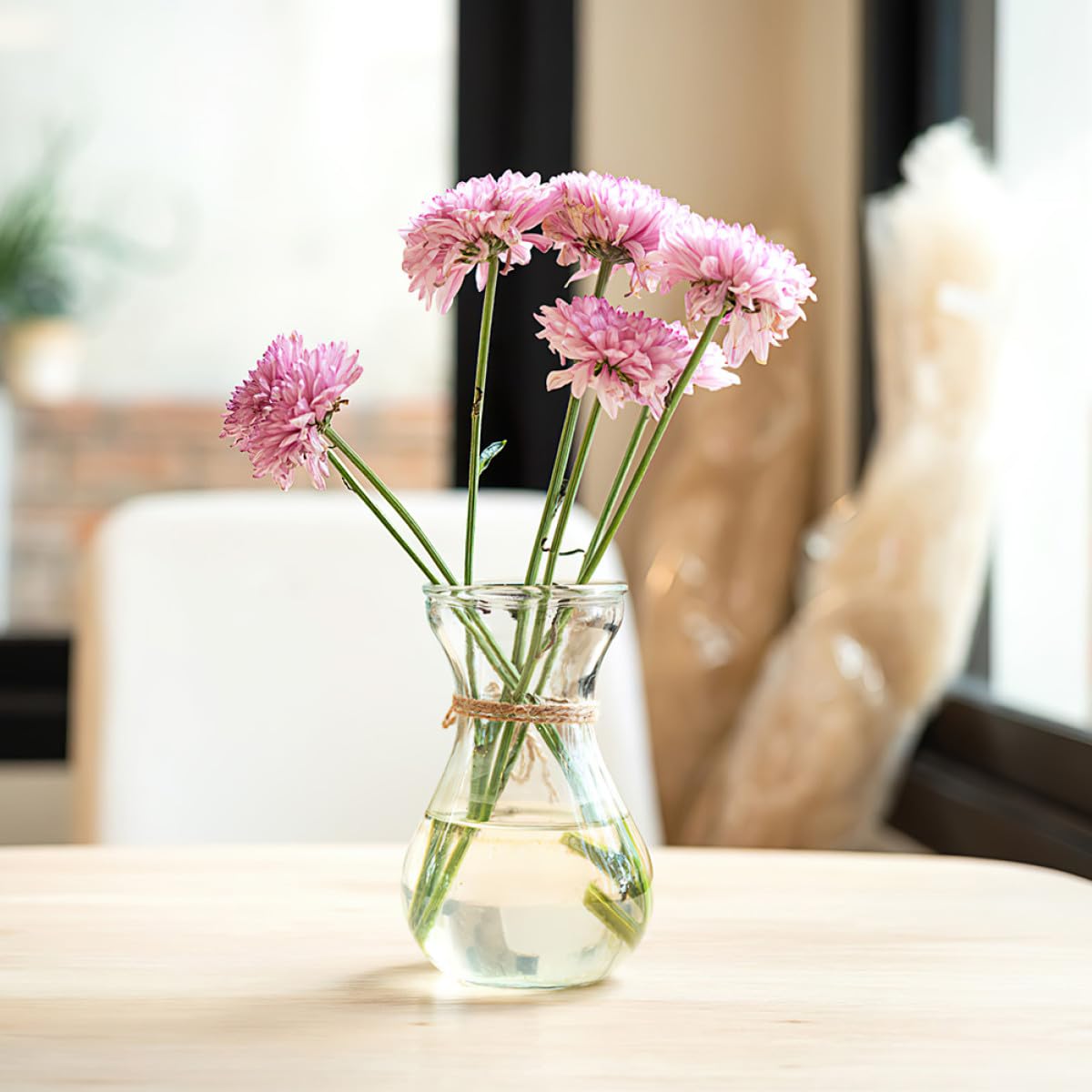 Vase à Jacinthe en Verre 5 Pièces, Transparent, Fond Plat Simple
