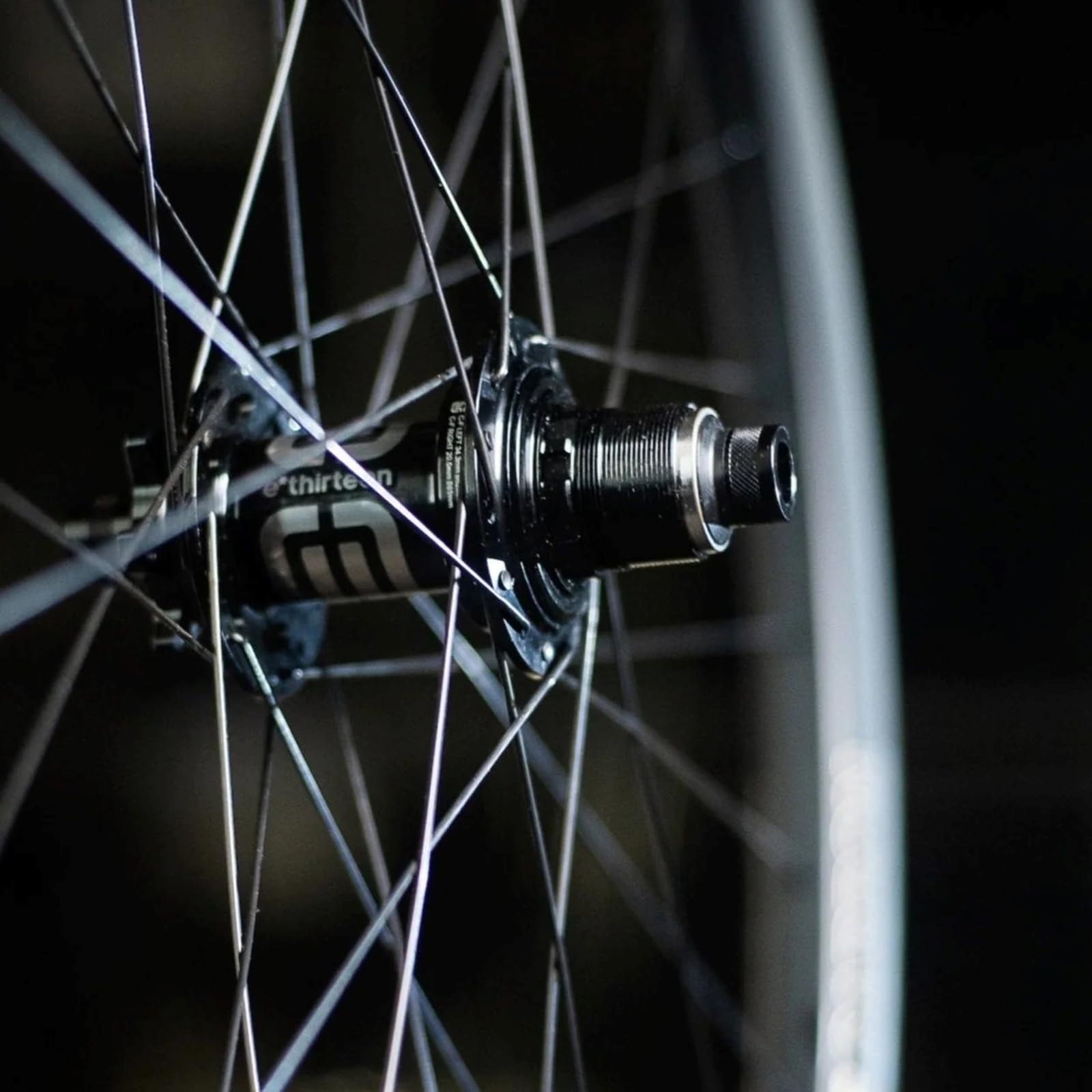 e*thirteen Shimano HG Freilauf Kit + 3-Pawl/6° TRS/LG1 EN, e*spec Race, Grappler e*spec