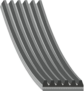 Courroie Trapézoïdale à Nervures 28831 FEBI