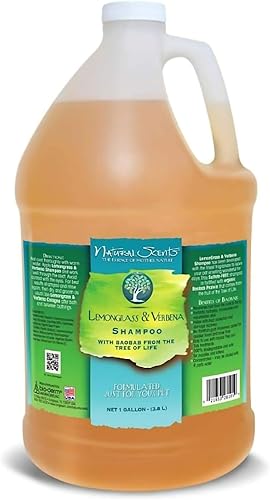 Miniatura 45 de Bio-Groom Champú Wild Honeysuckle para perros, champú natural para mascotas, aloe vera, manzanilla, suministros de baño para gatos y perros, lavado