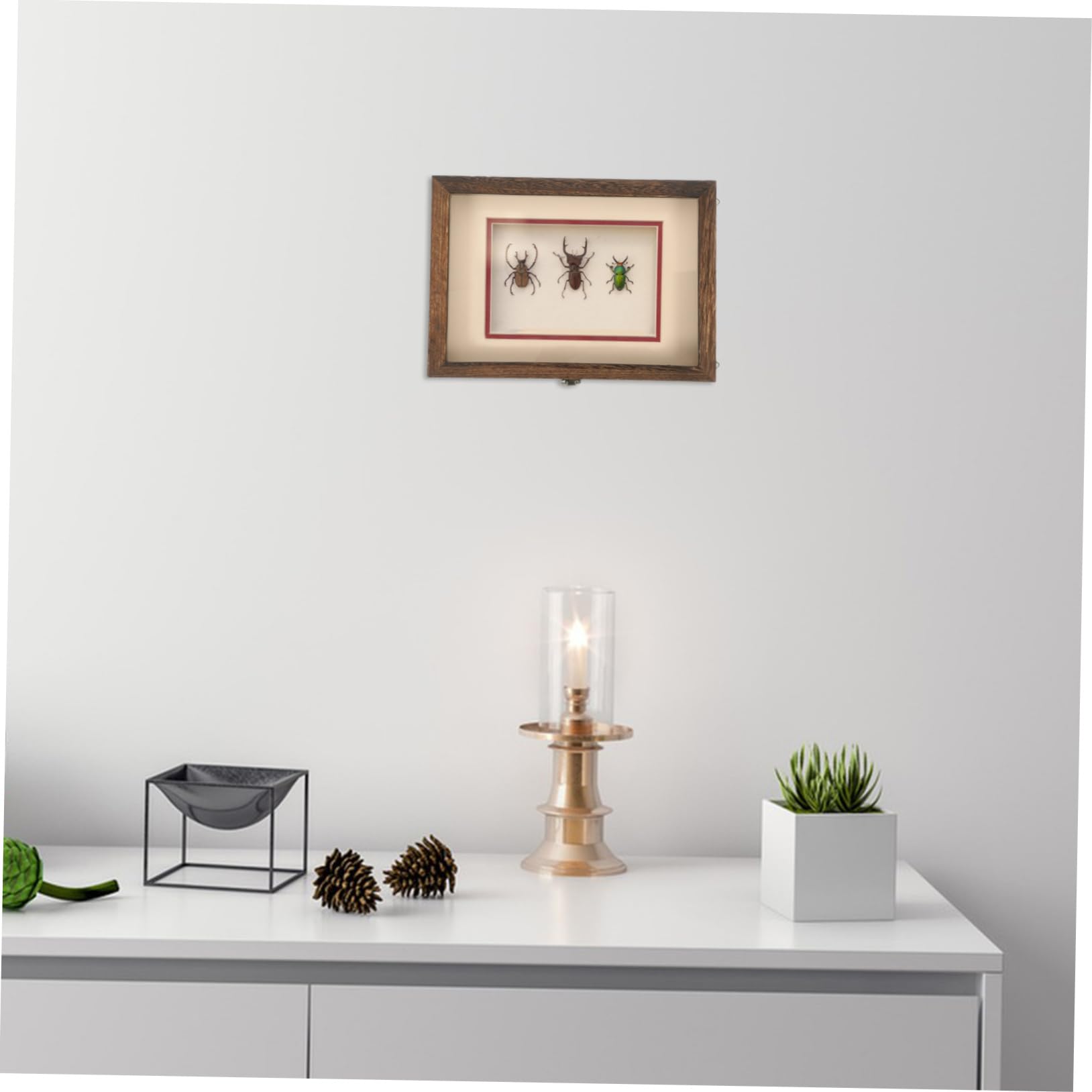 Holibanna Caja De Insectos Ventana Transparente Vitrina De Madera Diseño Colgante Para Muestras