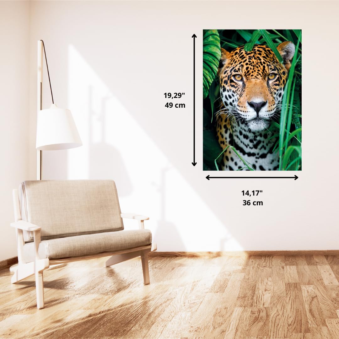 Clementoni Jigsaw Puzzle Collection, Jaguar In The Jungle 500 Pieces, Poster Included, Puzzle For Adults 14-99 Years - Image 3