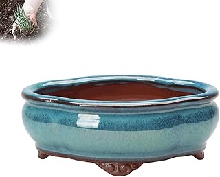 Ceramic Planter Pots, Handmade Succulent Plant Pots with Drainage Hole, ...