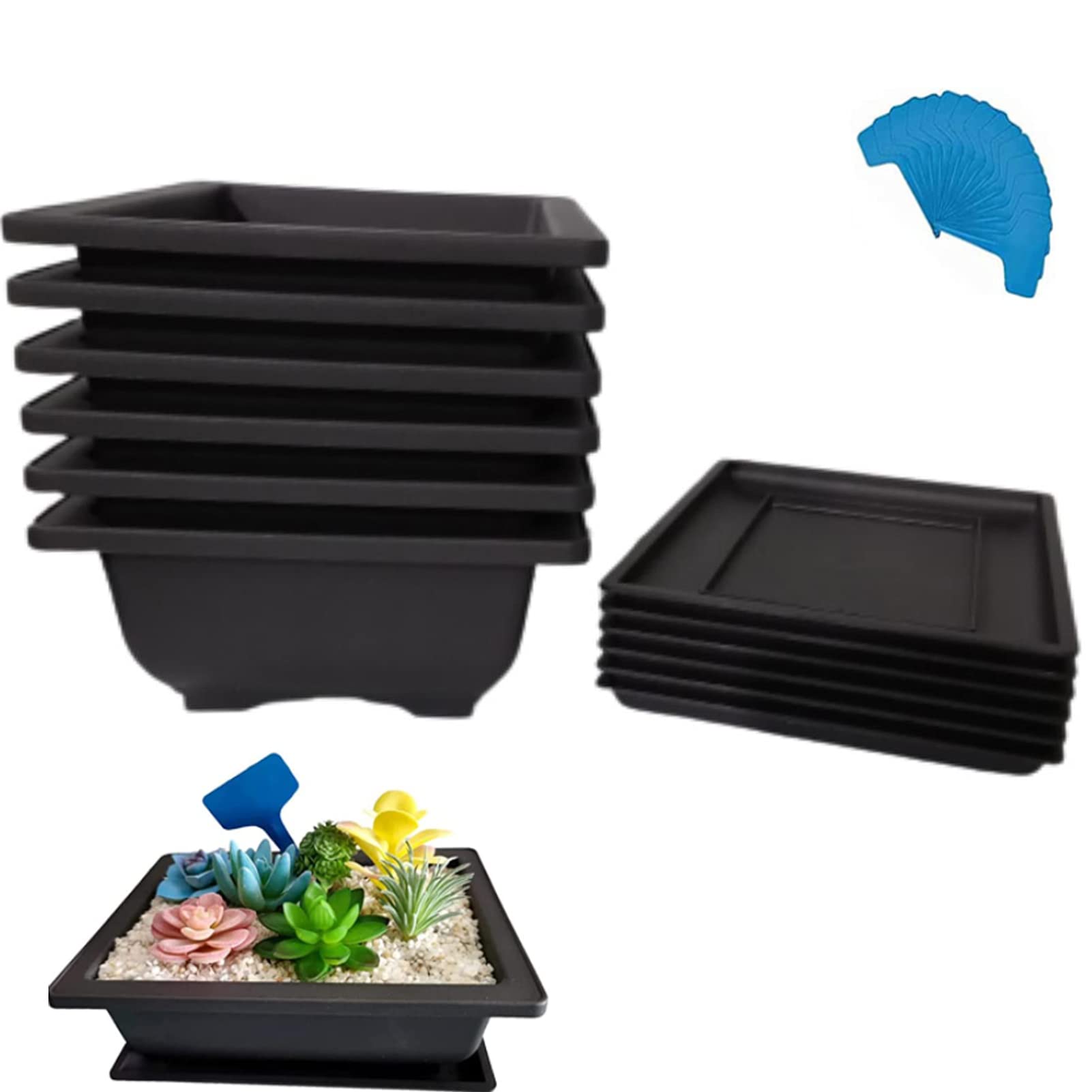 XIAONAN 6 macetas de entrenamiento de bonsái de 20 cm, macetas grandes de plástico para bonsái con bandejas de humedad + 15 etiquetas para plantas para jardín, patio, oficina, balcón, etc.
