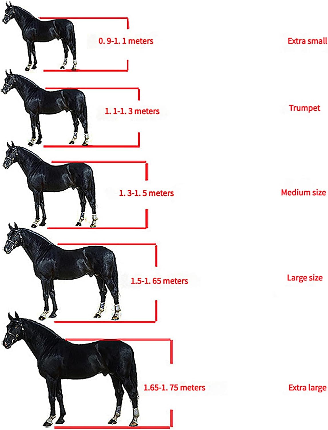 Stable Eye Hook Bridle Accessory Easyly Install Horse Tacks for Professional Equestrians Equipment Horse Gear