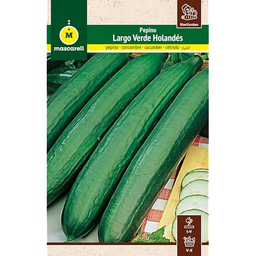 Mascarell Semillas, PEPINO, Semillas Huerto, PEPINO LARGO VERDE HOLANDÉS, Crea tu Propio Huerto Urbano y Cultivo en Casa, Plantas Hortícolas, 1 Gramos