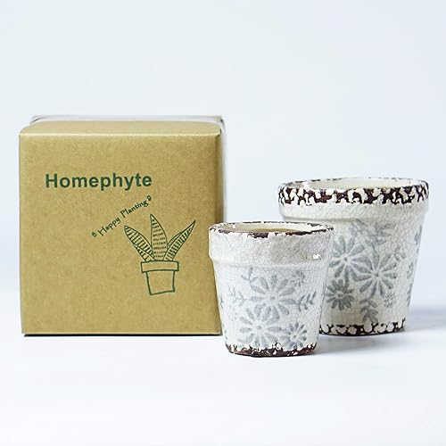 Miniatura 7 de Homephyte - Maceta de cerámica de 5.14 pulgadas para plantas de interiorexterior, macetas para hierbas, orquídeas, cactus, macetas rústicas de