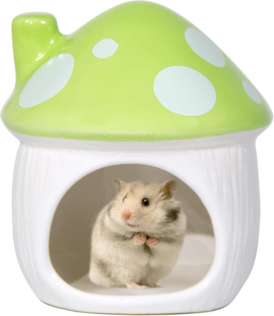 Ceramic Hide Hamster Hideout Small Pets Habitat House Accessories (Green) | mushroom ceramic hideaway for hamsters, guinea pigs, mice, gerbils, hedgehogs, chinchillas and small pets hamster accessories