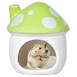 Ceramic Mushroom Hamster Hideout - Hamsters Habitat for Hamsters Chinchillas Hedgehogs and Gerbils Mouse Small Pet Guinea Pigs House Hamster Bed (Green)