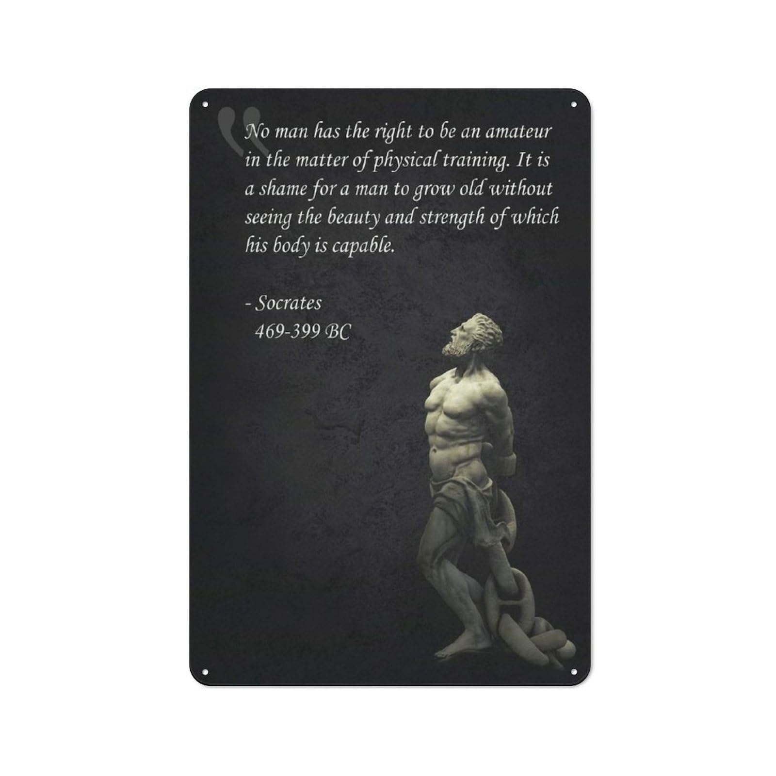 Metal Plaque 30x20cm with Strength And Beauty for Hallway Wall, Rustic Decor, A Metal Wall Feature for Hallways And Entrance Areas