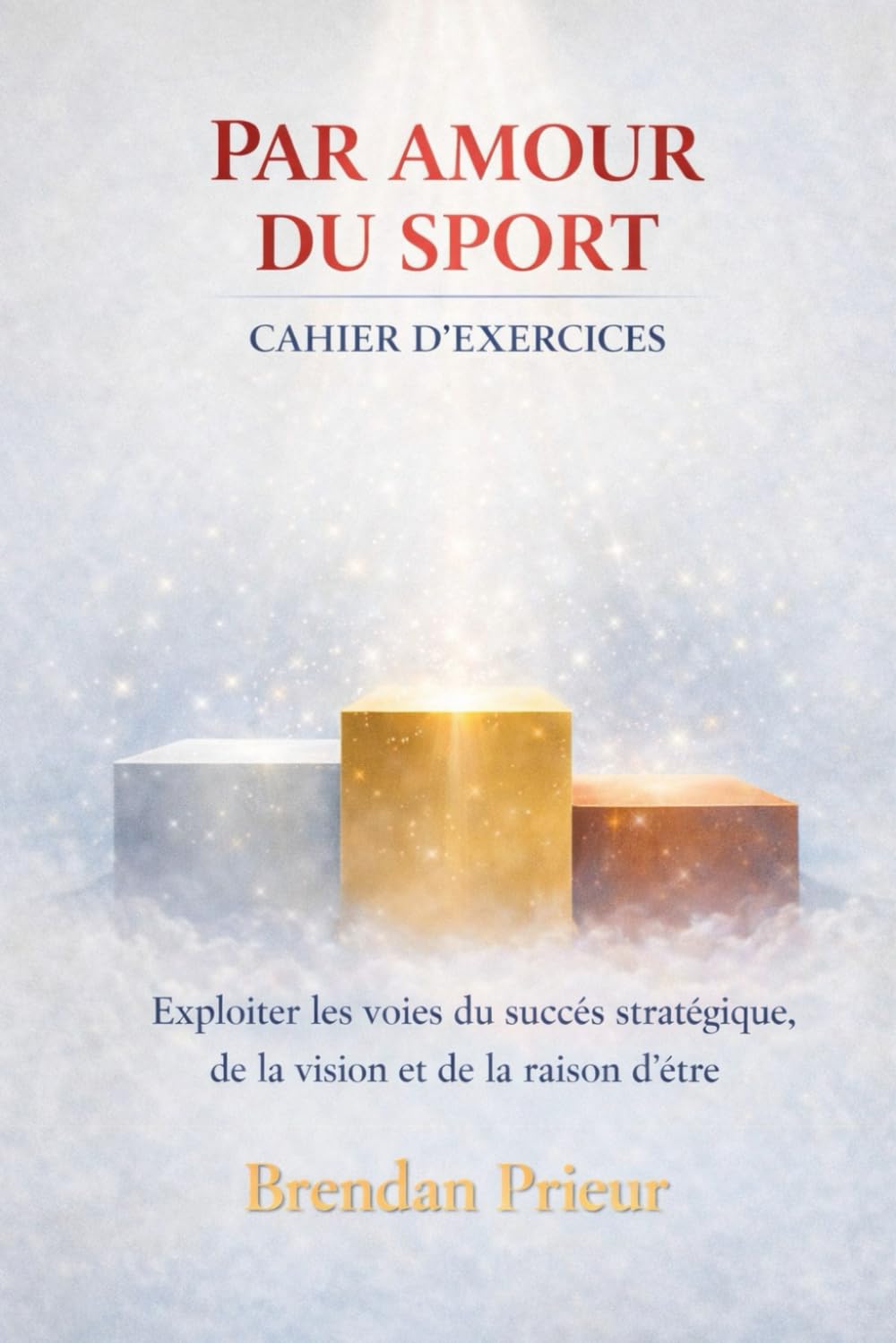 PAR AMOUR DU SPORT CAHIER D’EXERCICES: Exploiter les voies du succès stratégique, de la vision et de la raison d’être