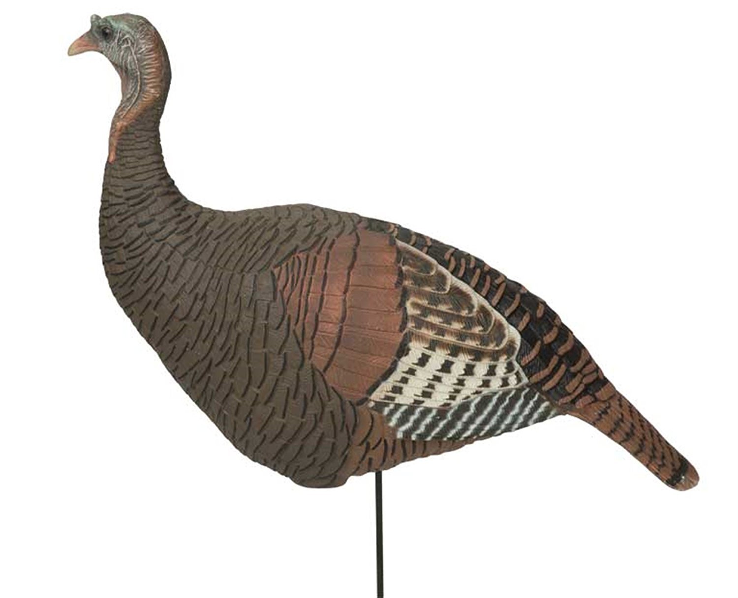 Avery Outdoors Banded Upright Hen, Eastern (78102)