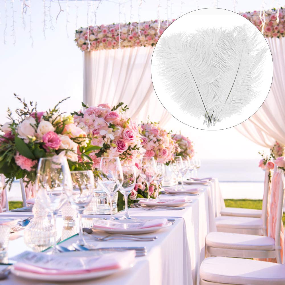 Lot De 10 Plumes D'autruche Naturelles De 15 à 20 Cm Plumes Pour Loisirs Créatifs Accessoires D'attrape-rêves Décoration De La Maison Costume Décoration De Table De Mariage Décoration De Chapeau Noir