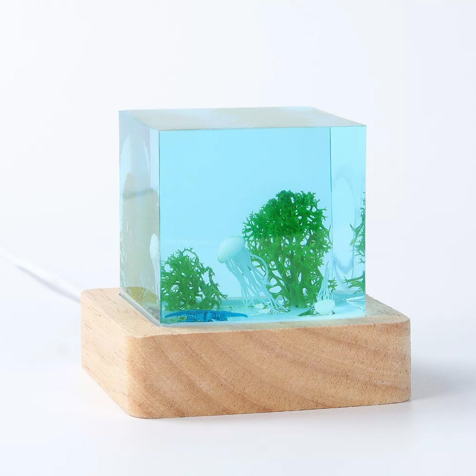 ATCKCALB Handmade Ocean Resin Lamp, 3D Underwater Marine Life Night Light with Wooden Base, Unique Gifts for Scuba Divers, Desktop Decor for Bedroom(B)