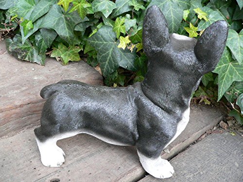 Amazon.co.jp: 犬の置物 フレンチブルドッグ おまけ付 いぬ イヌ 動物