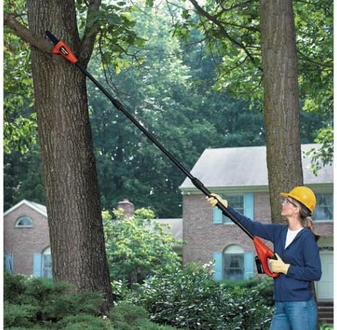 Black & Decker NPP2018 18-Volt Cordless Electric Pole Chain Saw (Older Model)
