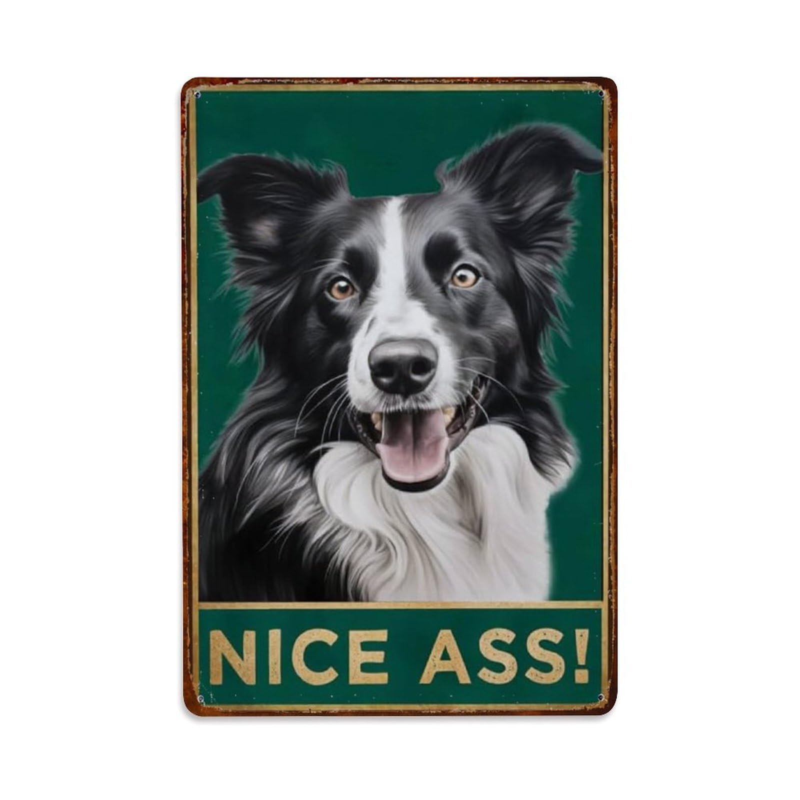 Rkundrne Vintage Funny Border Collie Metal Tin Sign Garden Bedroom Cafe Bar Man Cave Home Wall Decor Metal Poster 8X12 In