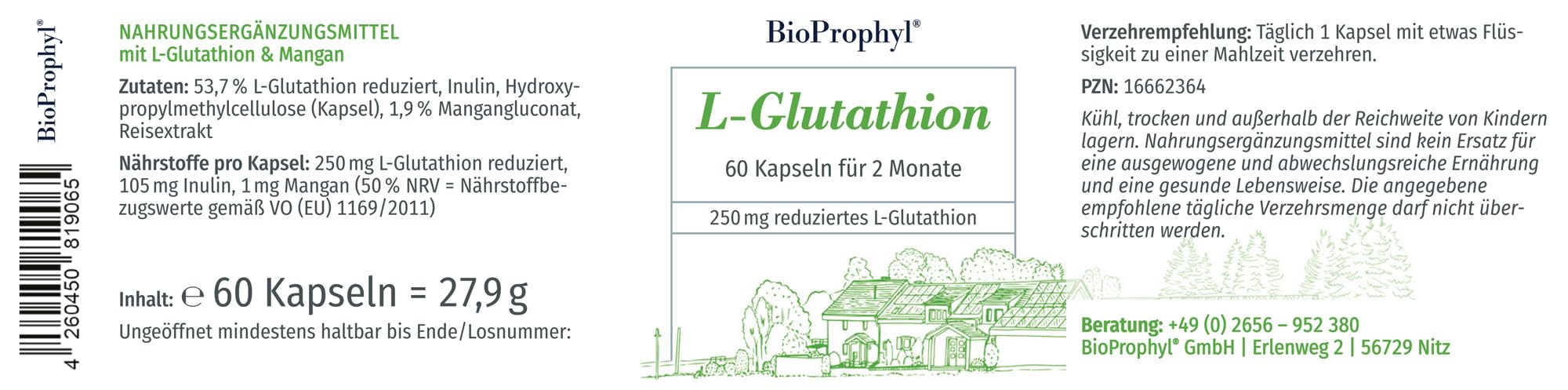 L-Glutathion G-SH - 250mg reines reduziertes L-Glutathion mit Mangan - 60 vegetarische Kapseln