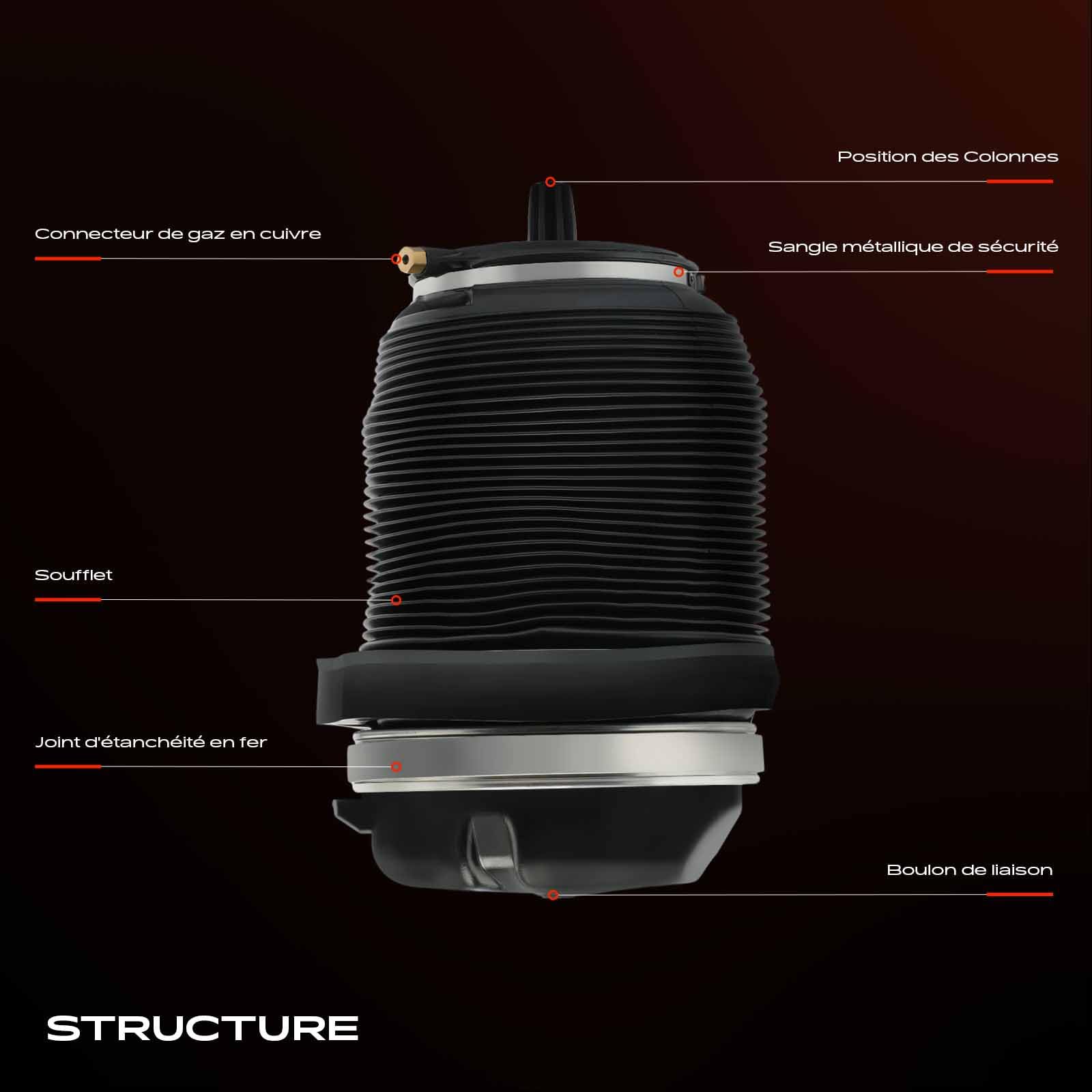 Frankberg Ressort pneumatique Arrière Gauche Ou Droite Compatible avec X5 F15 F85 X5 E70 X6 E71 E72 Remplacer# 37126795013