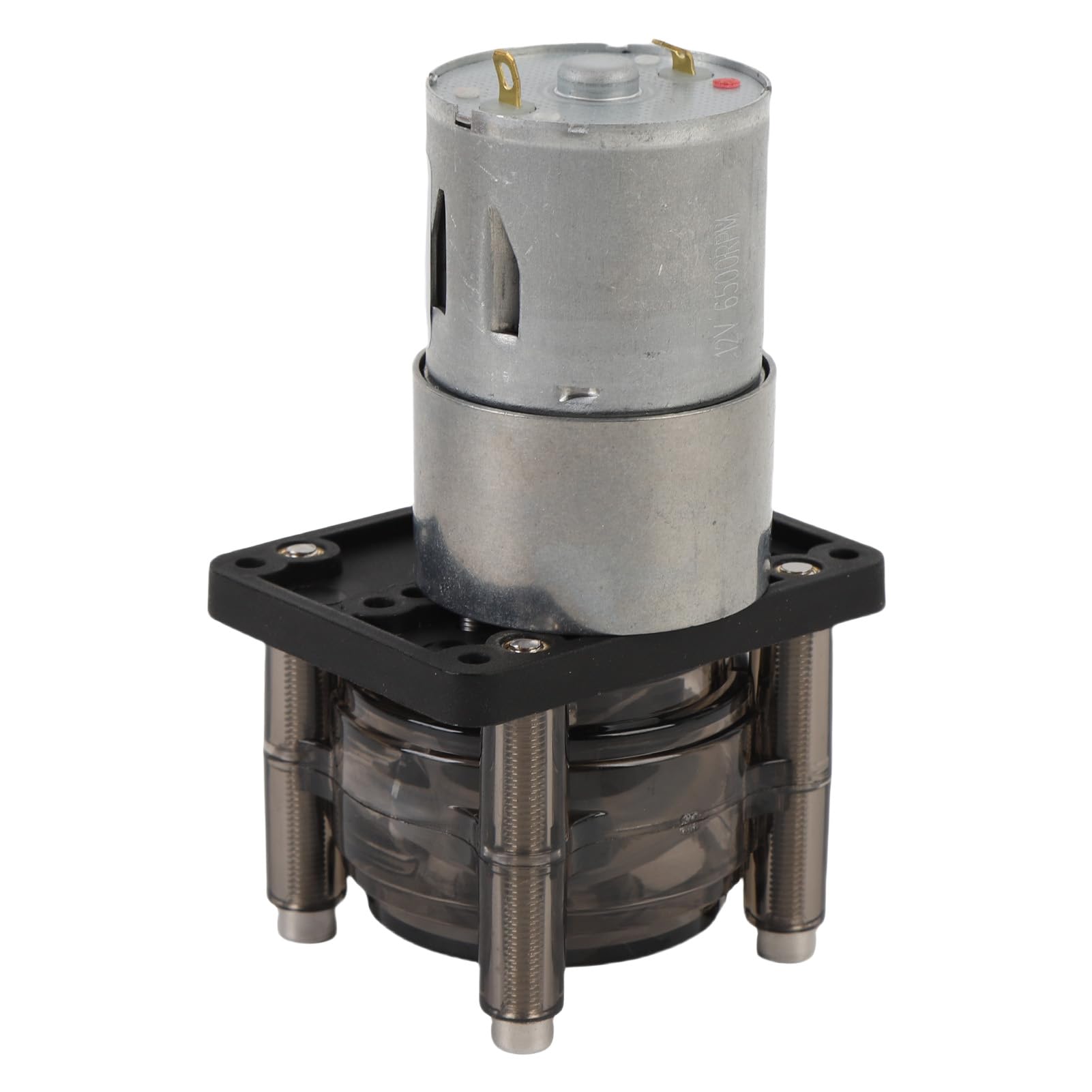 Generic Pompe Péristaltique, Conception Stable, Haut Débit, Moteur à Courant Continu 300 Ml/min, Pompe de Dosage de Liquide pour Aquarium en Acier Inoxydable (12V)