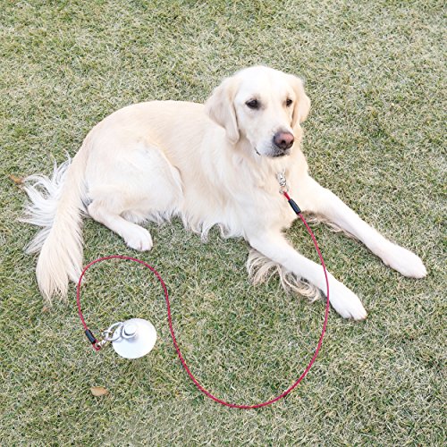 ペティオ (Petio) ドッグポールロング 埋め込み 大型犬用 45