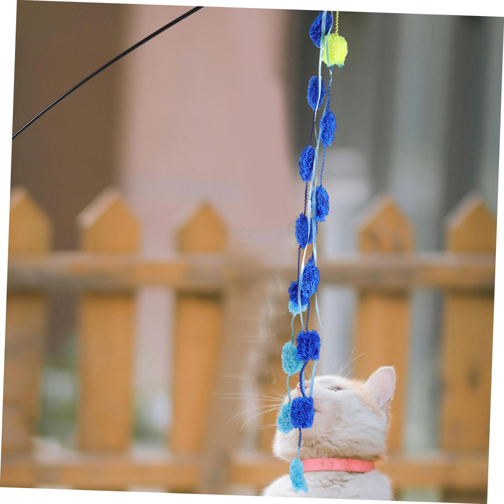Yardwe 5 Sets Katzenspielzeug Interaktives Katzenspielzeug Für Hauskatzen Kätzchenspielzeug Katzen Katzenprodukte Katzenanreicherung 3 Stück * 5