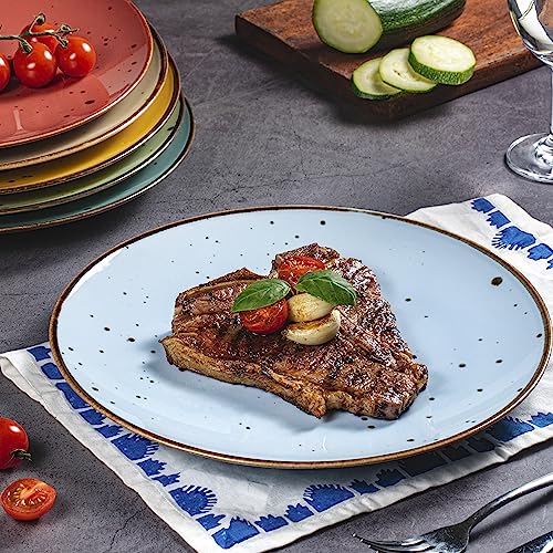 Dinner-Plates-11-inch-Set-of-6-Microwave-Oven-Dishwasher-Safe-Scratch-Resistant-Porcelain-Durable-Dishes-for-Steak-Pizza-Home-Restaurant-Party-Gifts-Vivid-Assorted-Colors Dinner Plates 11 inch Set of 6 Microwave Oven Dishwasher Safe Scratch Resistant Porcelain Durable Dishes for Steak Pizza Home Restaurant Party Gifts Vivid Assorted Colors