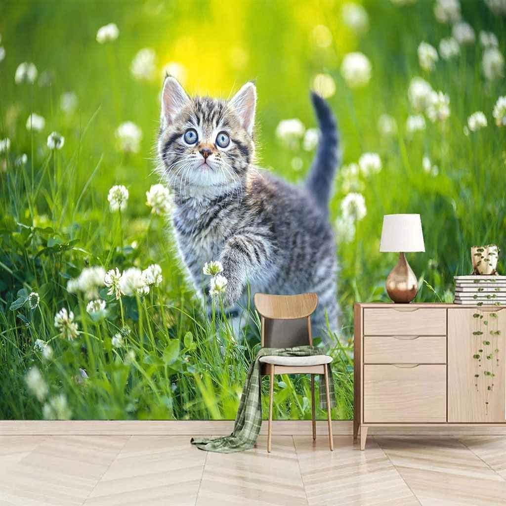 Papier Peint Intissé Chat 3D Effet Profondeur pour Salon et Chambre