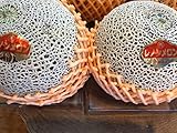 訳あり 赤肉メロン2玉 