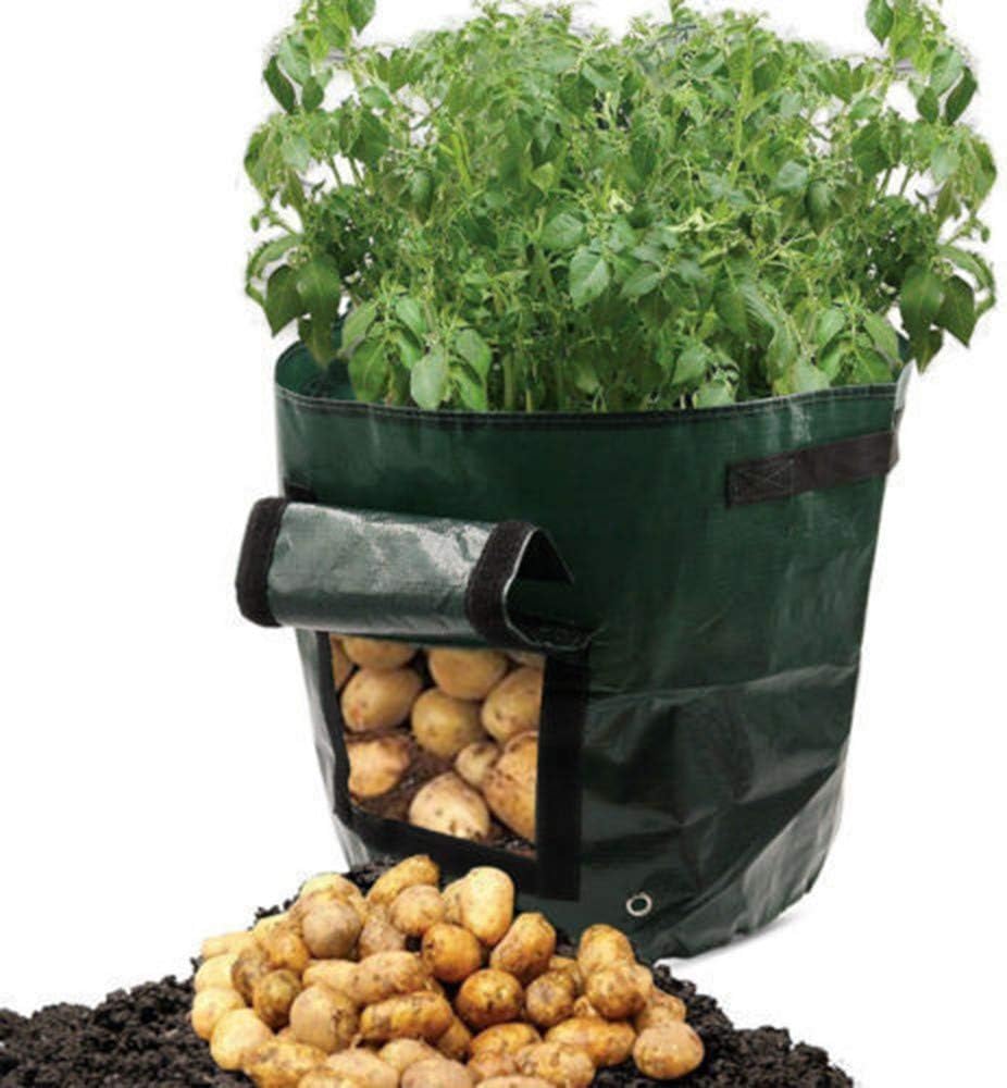CHENGZPotato Grow Planter PE Container Bag Pouch Root Plant Growing Pot Side Window
