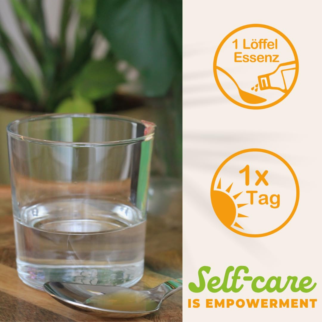 livQ Bio-Essenz pur | Fermentiert | vegan | rohkost | 4 x250ml Konzentrat | Vit. B12 aus der Fermentation mit Milchsäurebakterien • fruchtig-sauer • Früchte + Nüsse + Gemüse • 4 Flaschen für 4 Monate