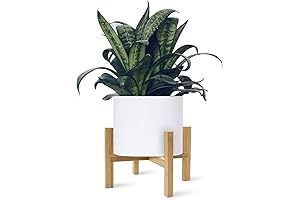 8 Inch Plant Stand, Nature Mid Century Modern