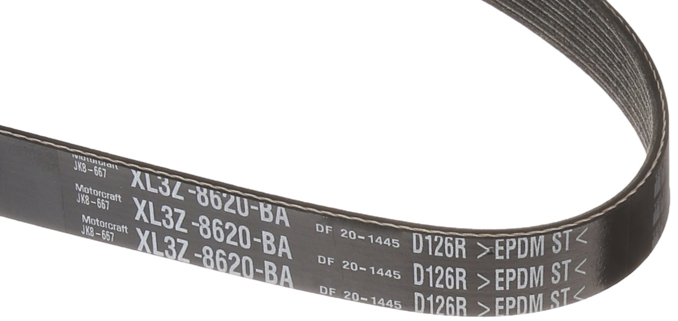 Amazon.com: Motorcraft Drive Belt : Automotive