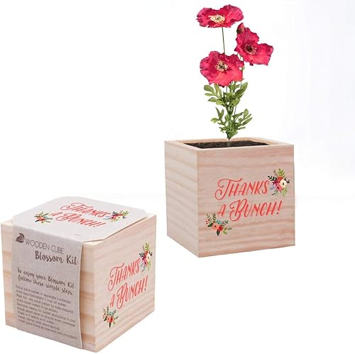 Cheersville - Planta en un cubo, incluye paquete de semillas de amapola, pellet de turba y maceta de madera de 3 pulgadas, regalo para agradecer a disponible en Yaxa Peru