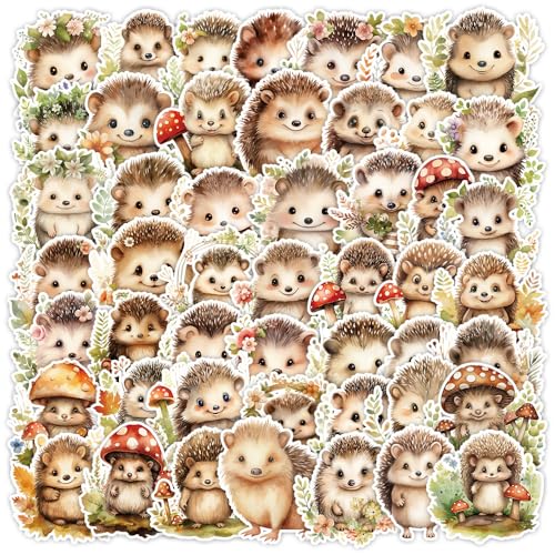 50Zbg nlY~ V[Y XV[Y Gybge[} 킢X^C XebJ[ V[ h   lC fJ[ XP[g{[h ו X[cP[X M^[  X}zP[X XP{[ Xm{ m[gp\R p\R