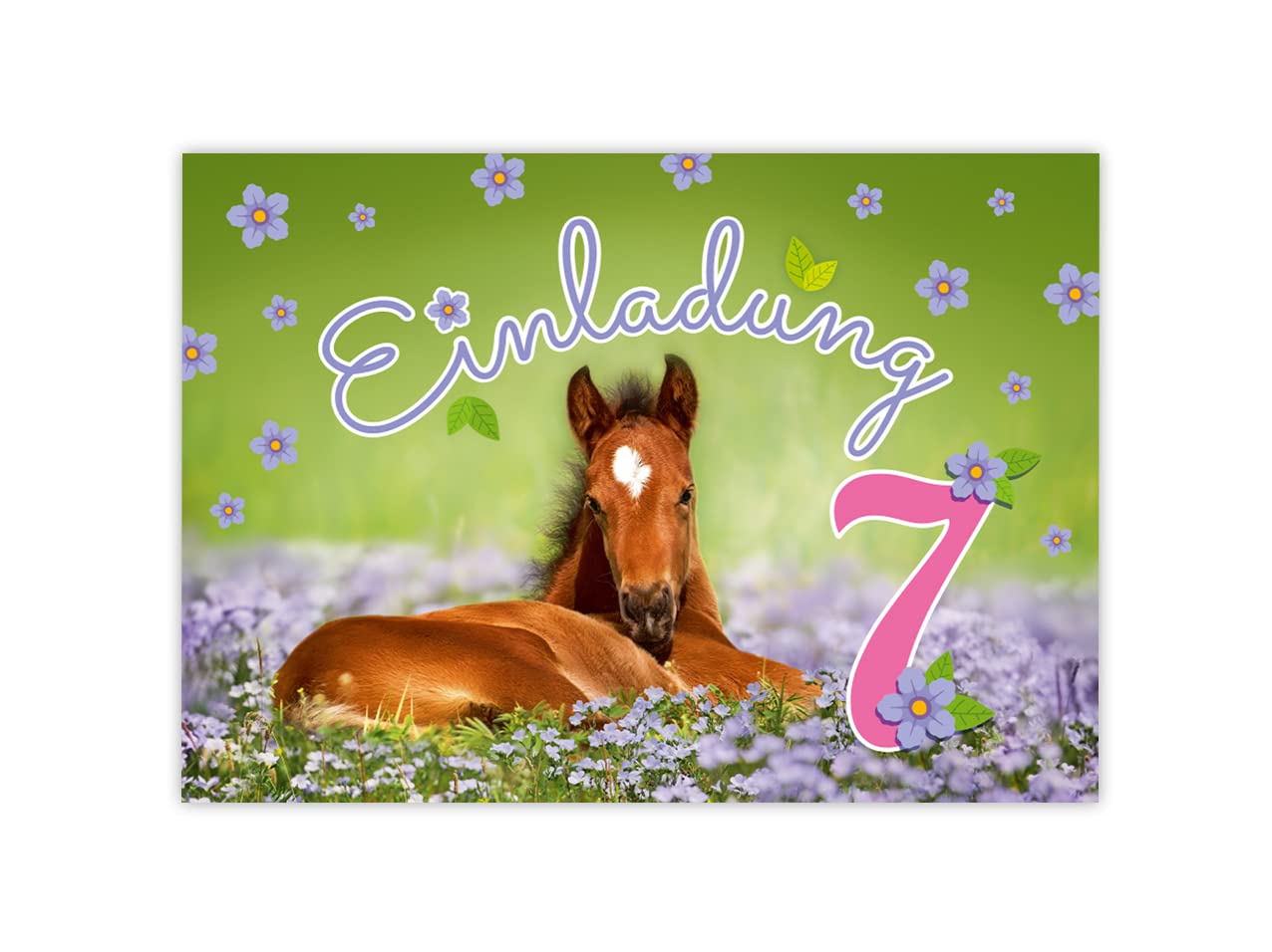 Minkocards 12 Biglietti D'invito Per Il 7° Compleanno Dei Bambini