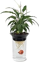 Penn-Plax APON1 0.5 Gallon Aquaponic Betta Fish Tank & Hydroponic Planter - Symbiotic Natural Ecosystem