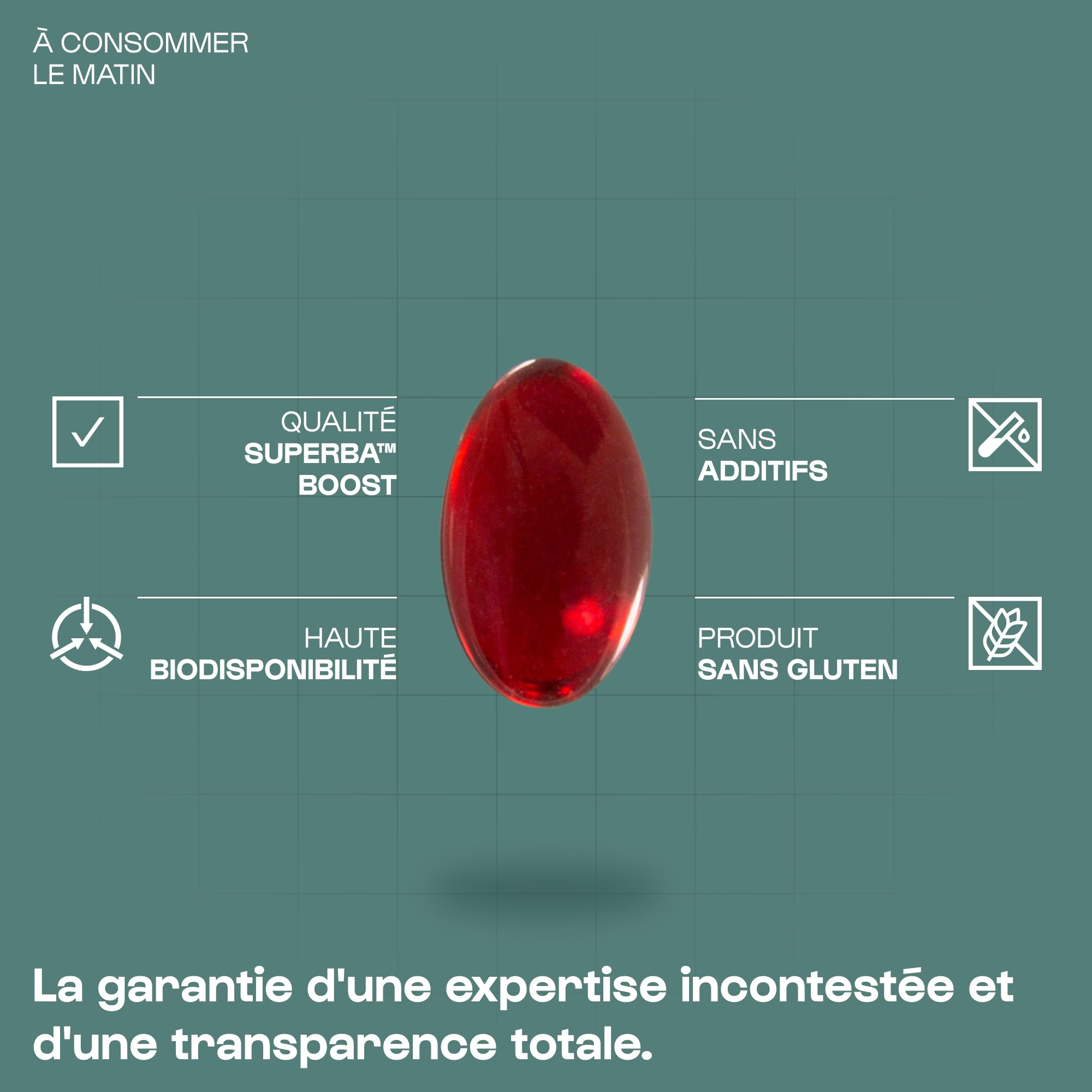 Nutrimuscle - Huile de Krill haute qualité Superba™ Boost - 60 capsules - Source d'Omega 3 - EPA, DHA, Astaxanthine, Choline