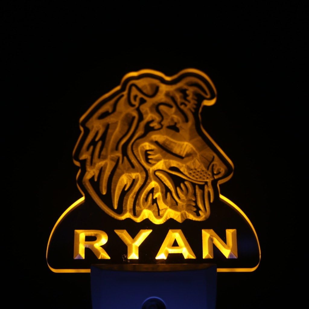 ADVPRO ws1090-tm Sheltie Dog Personalized Night Light Name Day/Night Sensor LED Sign