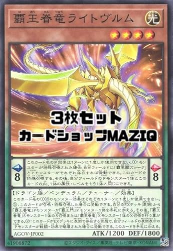 y3ZbgzVYJ[h eŗCgym[}z(AGOV-JP002)