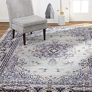 Home Dynamix Premium Sakarya Traditional Area Rug, Oriental Silver/Blue 7'8"x10'7"