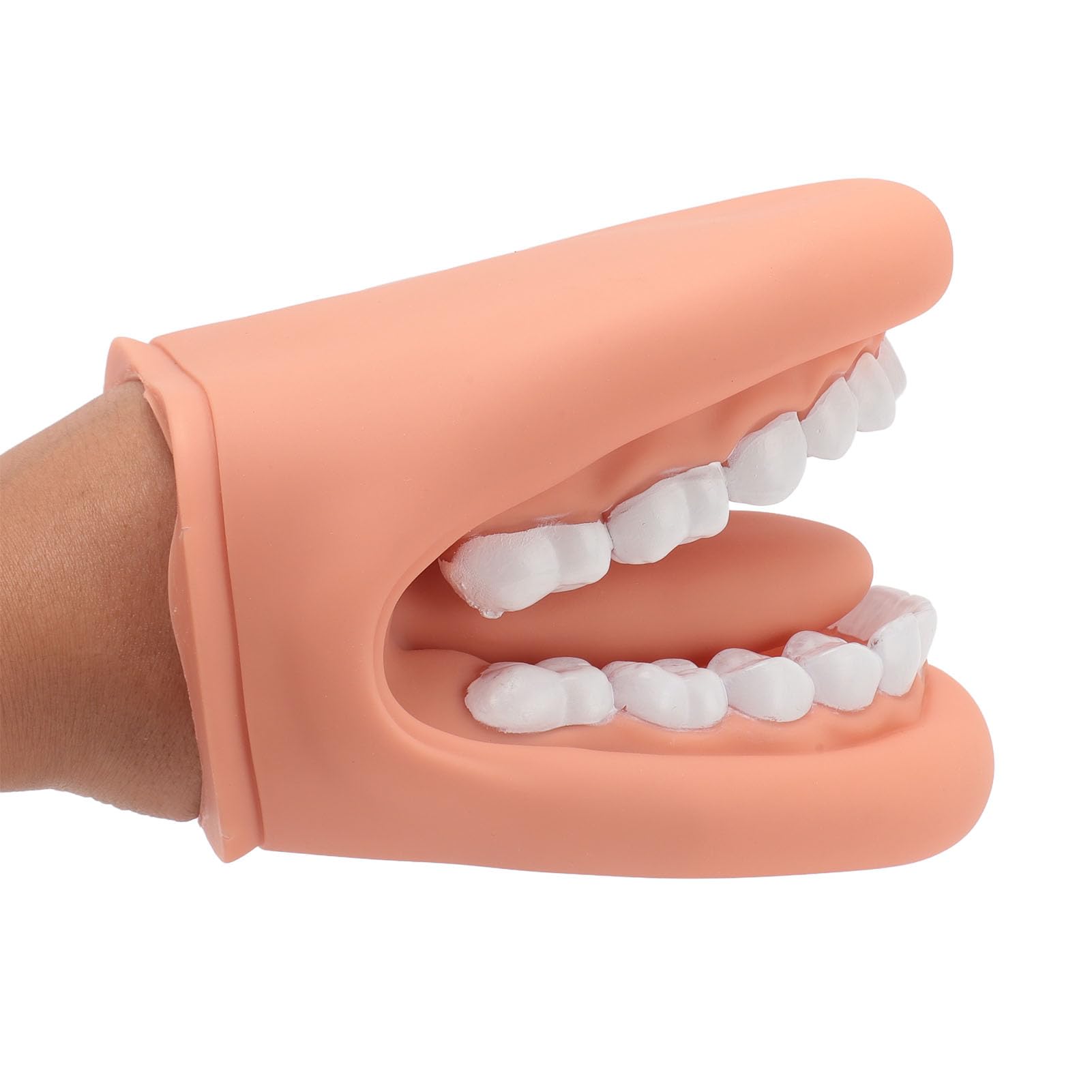 Marioneta de Boca de 28 Dientes con Lengua, Modelo de Demostración para Enseñanza de Niños, Silicona Bjorem