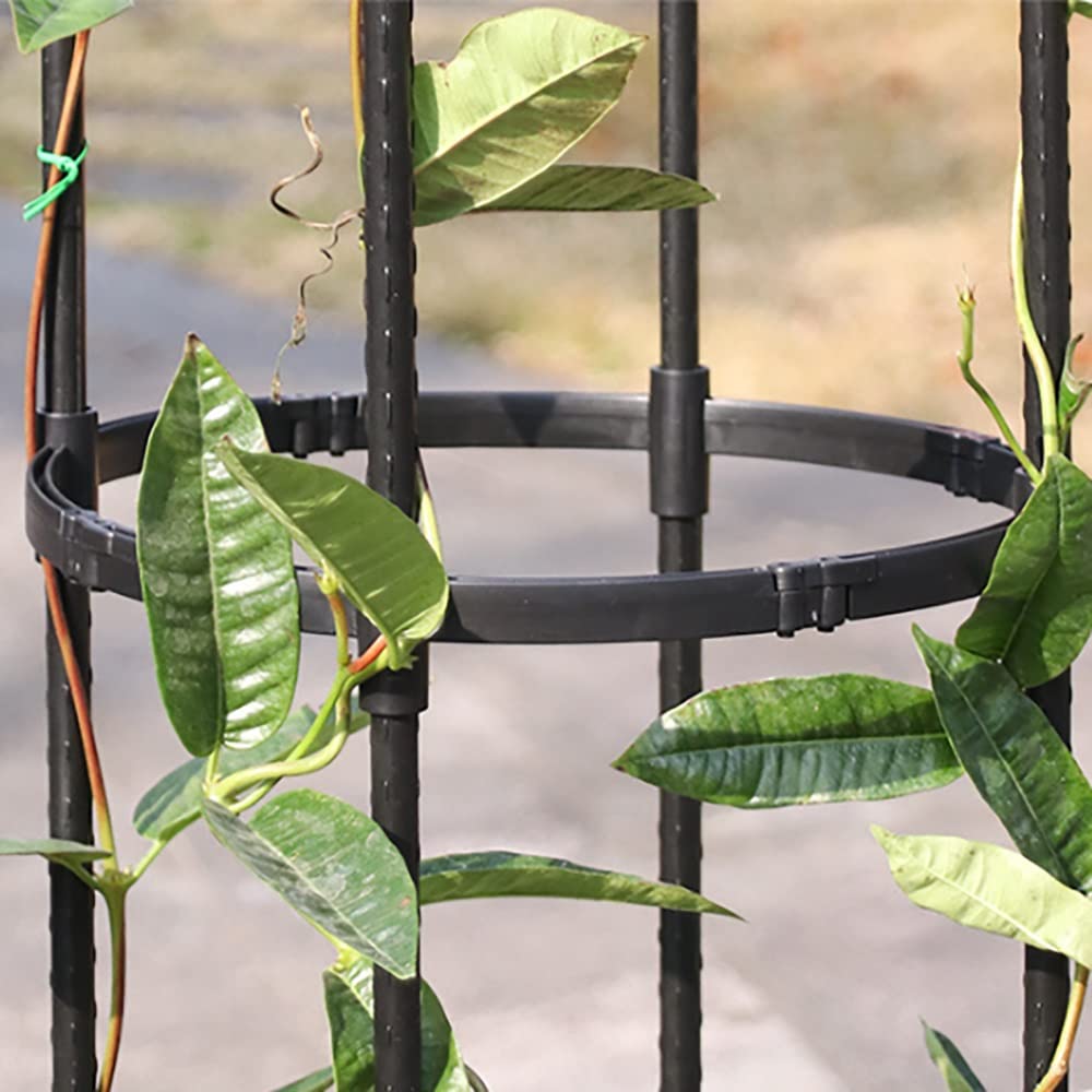 175 cm Obelisk Trellis voor klimplanten, Verhoog metalen tuinlatwerk