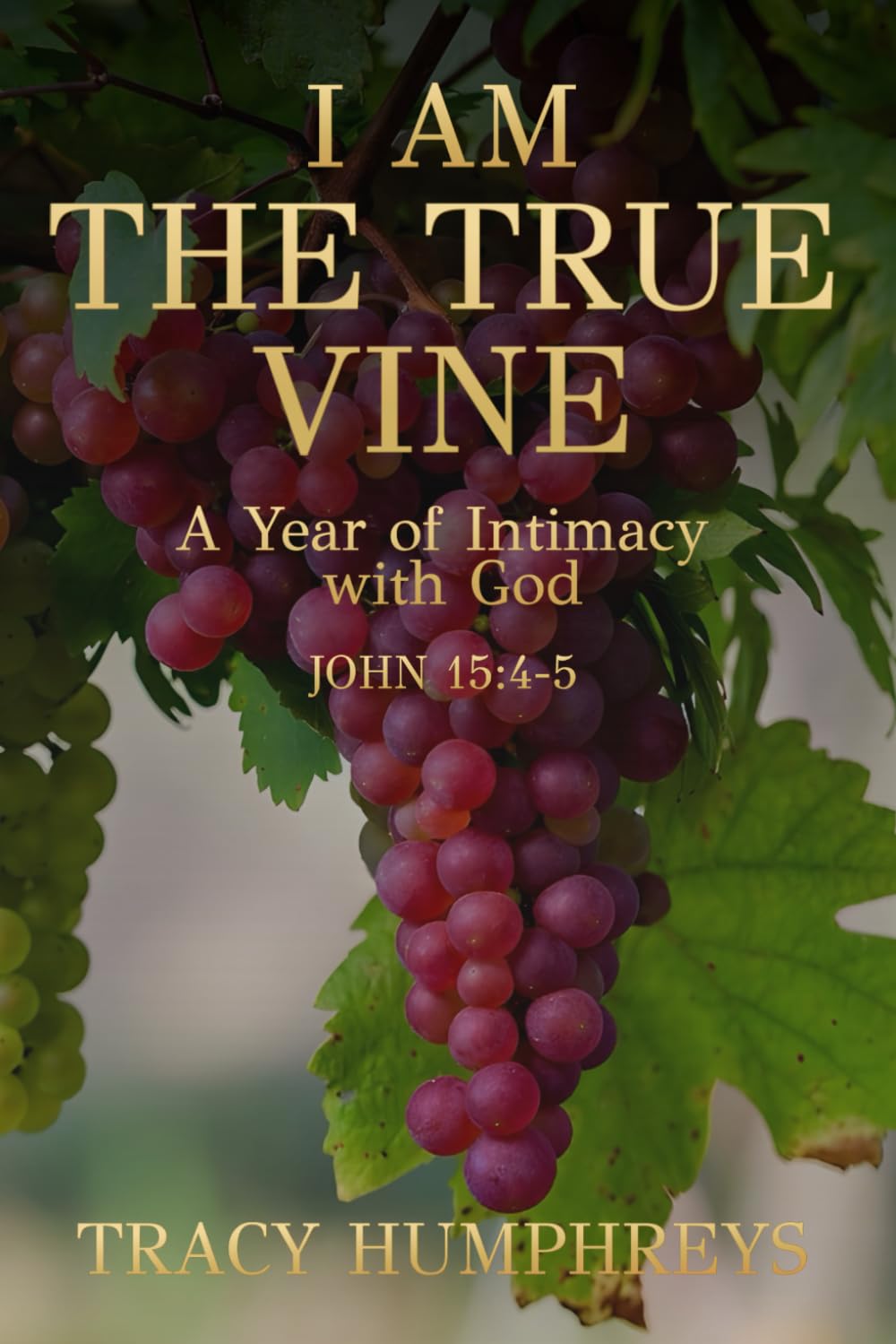 I Am The True Vine: A Year of Intentionality, and Intimacy with God