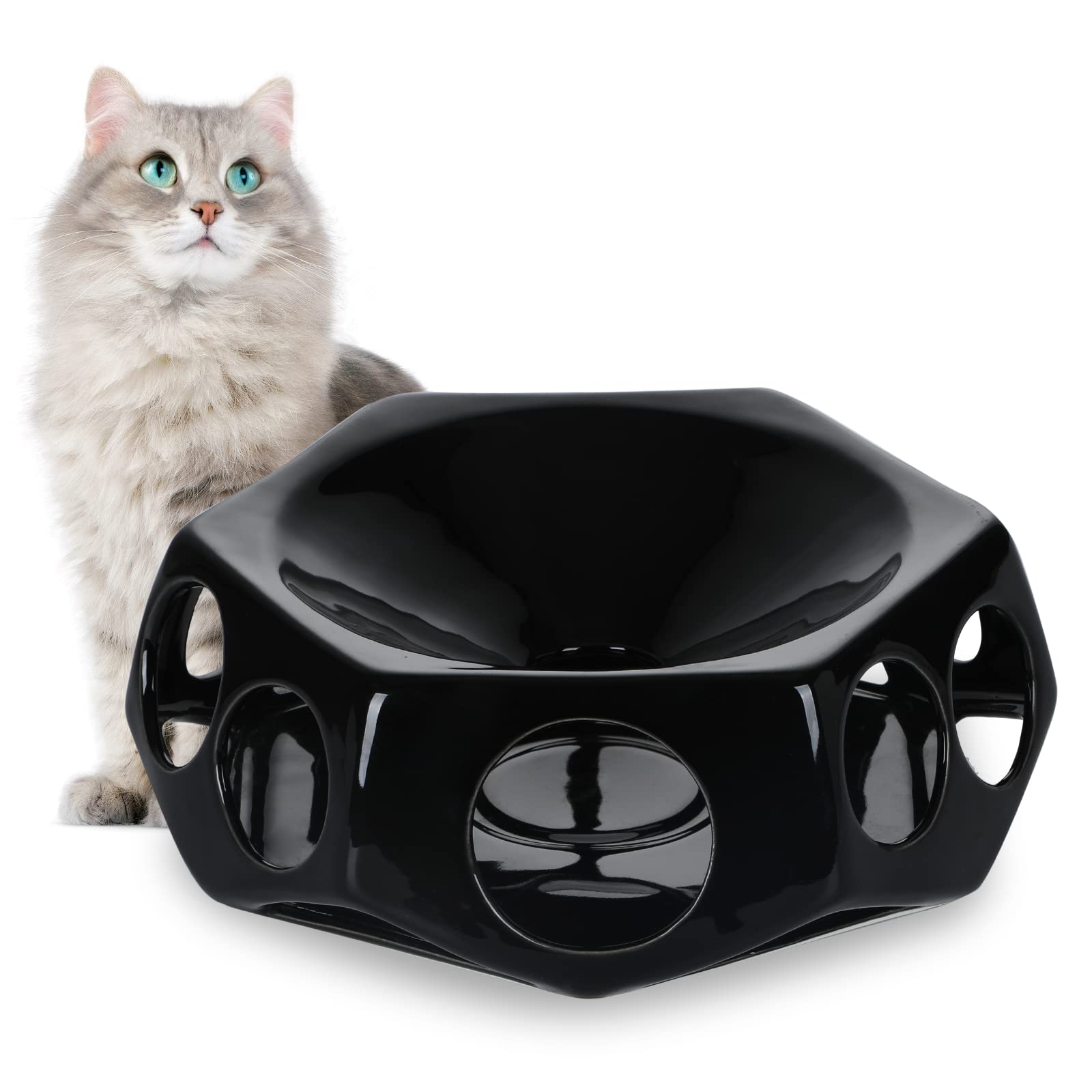 HAOTOPCeramic Slow Feeder Bowl for Small Dog,Fun Interactive Feeder ,Healthy Slow Feeder Cat Bowls (Black)