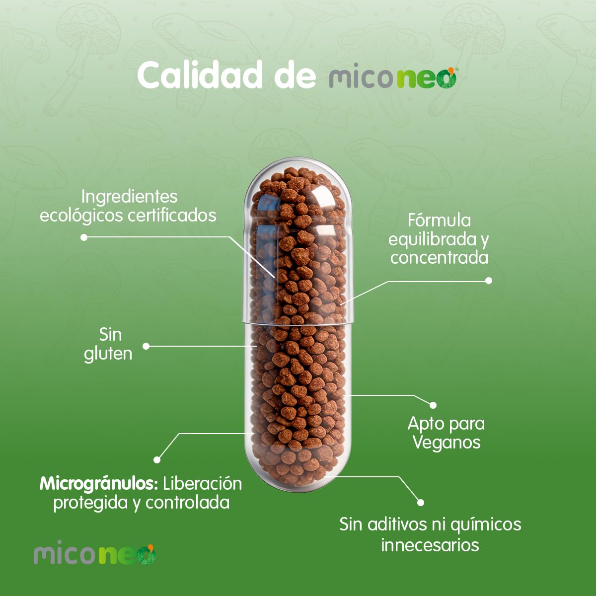 Mico NEO | HEP | 60 Cápsulas | Con Cardo Mariano, Reishi, Cordyceps, Shiitake y Polyporus | Suplemento Elaborado con Hongos