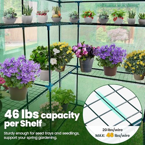 image for KING BIRD Premium Greenhouse for Outdoors, 56 x 56 x 77 Upgraded PE Co