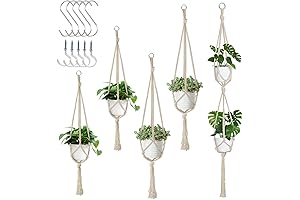 Intricate Macrame Masterpiece: 5 Hanging Plant Sanctuaries